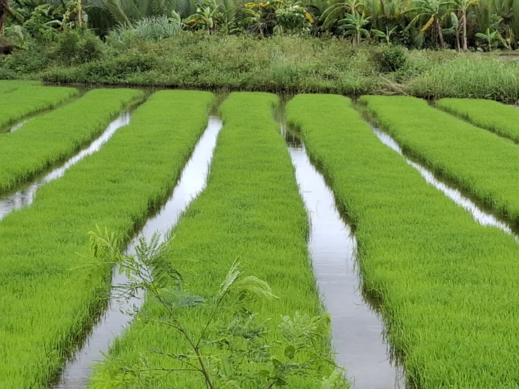 20250329_143003-scaled-e1764031210946