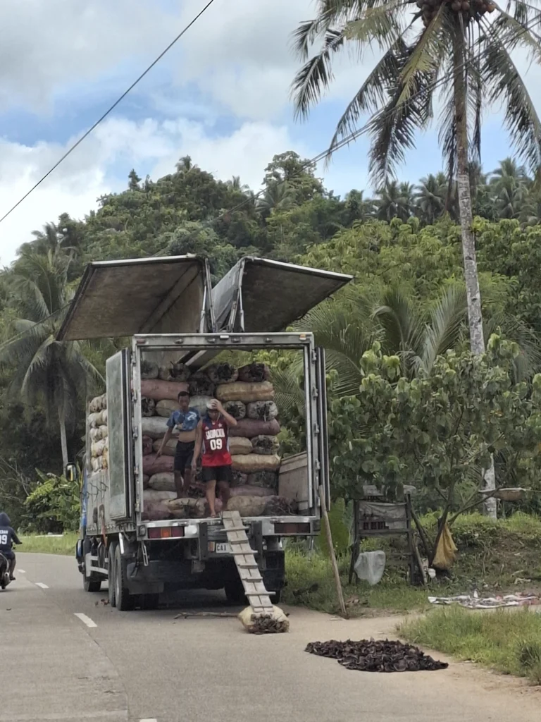 20250406_115250-scaled