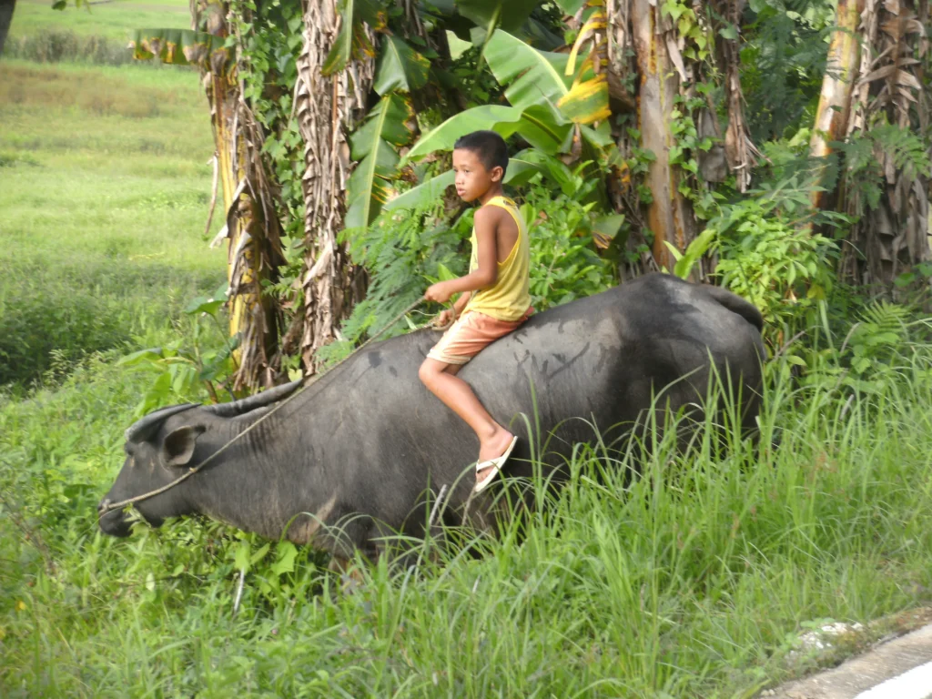 BILD0678-scaled-e1764030867791