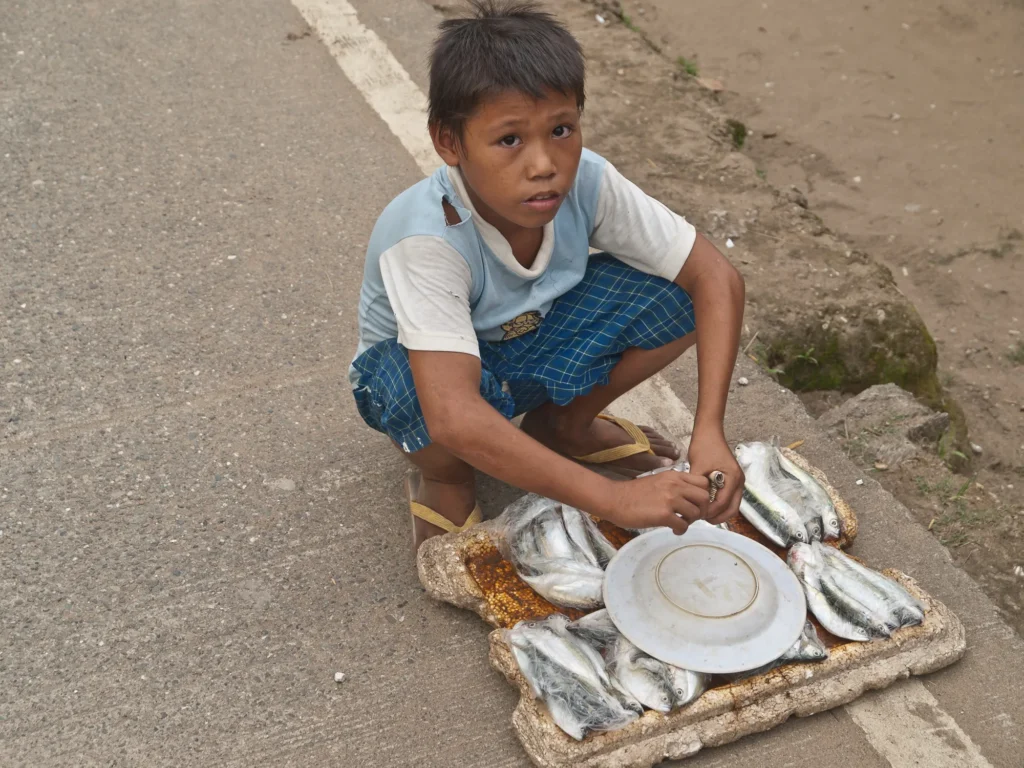 Bilder-Klaus-11181-1