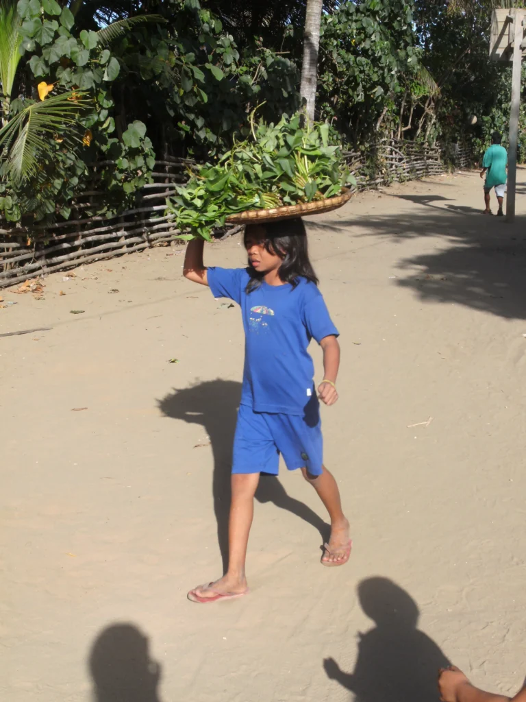 Bugko-2010-073-scaled