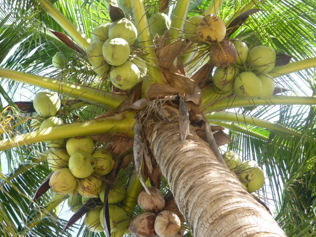 P1400462-e1764028624153