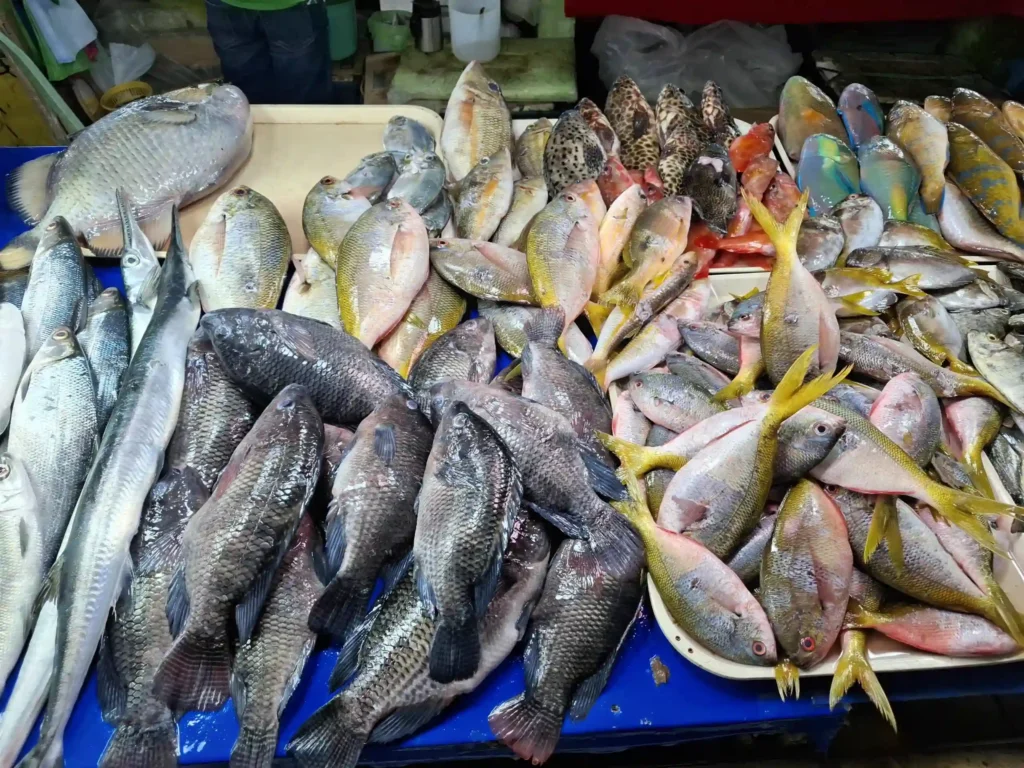 20250327_170947-scaled-1-1