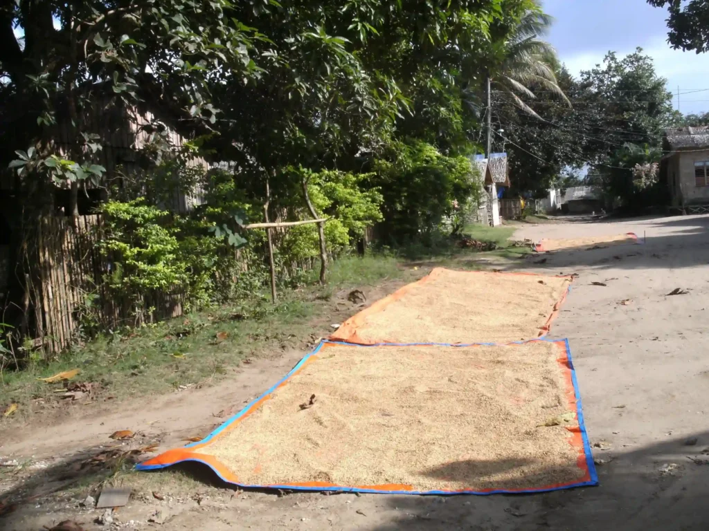 Medical-Surgical-Mission-2010-2-115-scaled-1-1